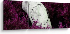 Obraz - Biely páv (s hodinami) (90x30 cm)