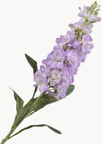Rastlinné dekorácie Matthiola Incana, 2 ks