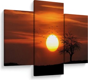 Obraz - Západ slnka (90x60 cm)