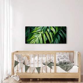 Obraz - Tropické listy (120x50 cm)