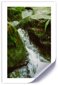 Gario Plagát Divoká rieka Farba rámu: Bez rámu, Veľkosť: 40 x 60 cm