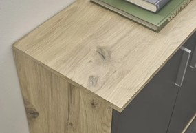 Komoda s 2 zásuvkami Bacalar, dub viking/sivá