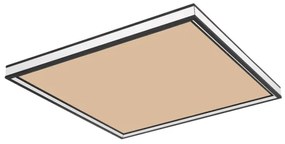 Globo 41596D2 - LED Stmievateľné stropné svietidlo LED/24W/230V 2700-6500K+DO