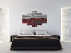 Obraz vlčích makov (150x105 cm)