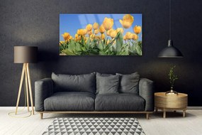 Obraz plexi Tulipány kvety rastlina 120x60 cm