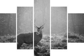 Obraz - Jeleň v lese, čiernobiela (150x105 cm)