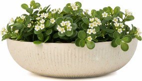 Okrasná miska PLANA, sklolaminát, priemer 34 cm, čierna