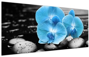 Obraz - Modrá orchidea (120x50 cm)