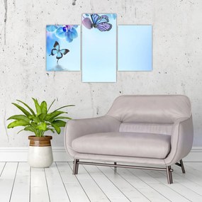 Obraz - Motýľ na kvetoch orchidey, modrý (90x60 cm)