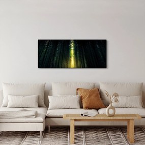 Obraz temného lesa (120x50 cm)