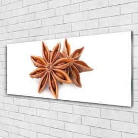 Obraz plexi Aníz hviezda príprava 125x50 cm