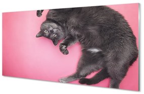 Nástenný panel  ležiace mačka 100x50 cm