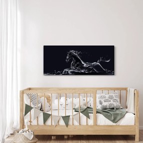 Obraz - Kôň a voda (120x50 cm)