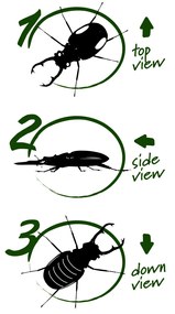 Navir - Explora - téglik na pozorovanie hmyzu