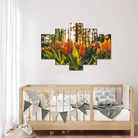 Obraz - kvety tulipánov (150x105 cm)