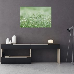 Obraz - Ranná rosa na steblach trávy (90x60 cm)
