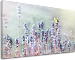 Obraz na stenu KVETY KV077E11 - 80x120 cm