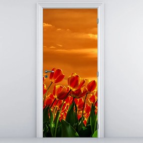 Fototapeta na dvere - Rozkvitnutý lán s tulipánmi (95x205cm)