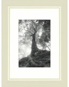 Fotorámik drevený, Modern, krémovo-biely 9x13 cm