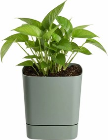 Plastový květináč s podmiskou Cubi 19x19 cm - výber z 6 prevedení