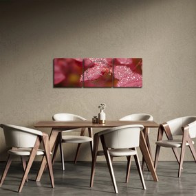 Obraz - Makro snímka lístka (s hodinami) (90x30 cm)