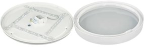 LED Stropné svietidlo SAMER LED/24W/230V 4000K