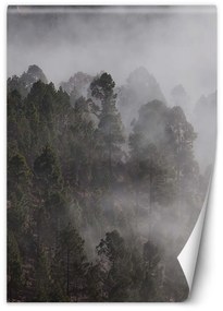 Gario Fototapeta Zelený les v hmle Materiál: Vliesová, Rozmery: 100 x 140 cm