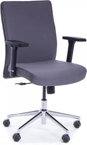 Kancelárska stolička Pierre sivá