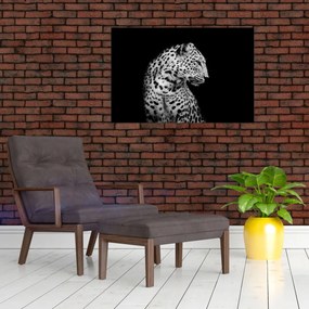 Obraz - Leopard (90x60 cm)