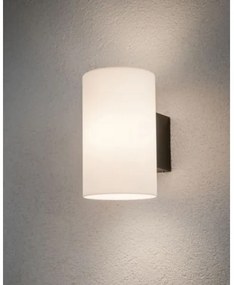 Paulmann 94186 - 1xE27/15W IP54 Vonkajšie nástenné svietidlo TUBE 230V