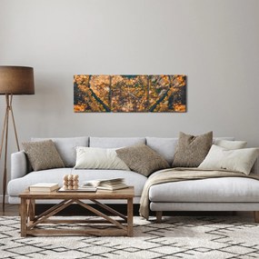 Obraz - Rieka v tvare srdca (s hodinami) (90x30 cm)