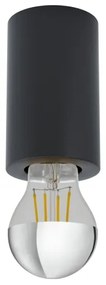 Eglo 99065 - Stropné svietidlo SALUZZO 1xE27/40W/230V