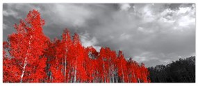 Obraz - Stromy vo farbe jesene (120x50 cm)