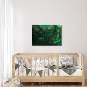 Obraz - Zelený mikroskopický záber (70x50 cm)