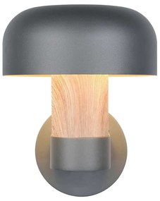 Nástenné vonkajšie svietidlo (výška 24,5 cm) Fraser – Trio