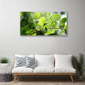 Obraz plexi Vetvy listy príroda strom 100x50 cm