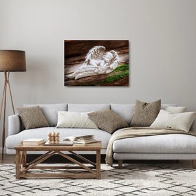 Sklenený obraz - Spiaci anjelik (70x50 cm)