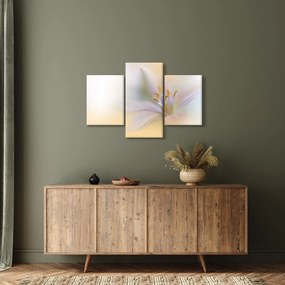 Obraz - Jemný kvet (90x60 cm)