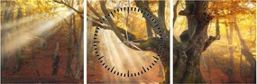 Obraz - Jesenný svit (s hodinami) (90x30 cm)