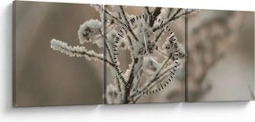 Obraz - Rastlina v mraze (s hodinami) (90x30 cm)