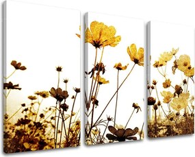 Obraz na stenu 3 dielny KVETY XOBKV143E30 - 120x80 cm