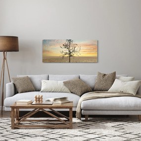 Obraz - Strom na púšti (120x50 cm)