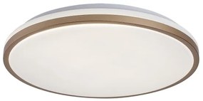 Rabalux 75058 - LED kúpeľňové stropné svietidlo SLAVA LED/18W/230V IP44 pr. 34 cm