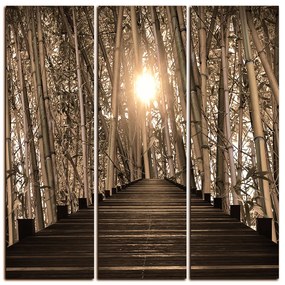 Obraz na plátne - Drevená promenáda v bambusovom lese - štvorec 3172FB (105x105 cm)