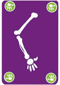 Skeleton - Bogoss - kartová hra
