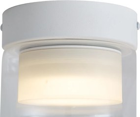 Moderné stropné svietidlo biele s čírym sklom - Puck