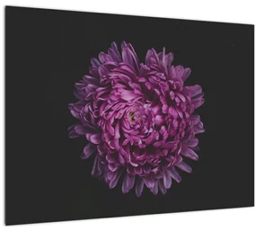 Sklenený obraz fialovej kvetiny (70x50 cm)