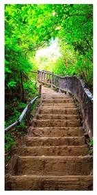 Fototapeta na dvere Stairs from nature