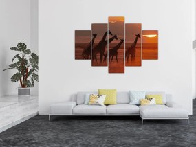 Obraz - Žirafy v africkej savane (150x105 cm)