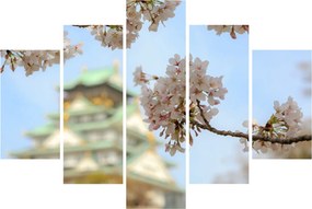 Obraz - Sakura (150x105 cm)